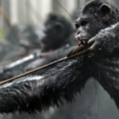 La planète des singes - Suprématie film science-fiction RTL plug