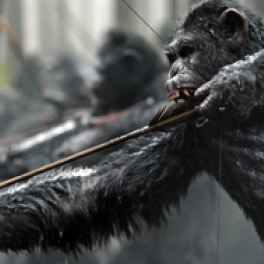 La planète des singes - Suprématie film science-fiction RTL plug