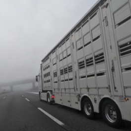 Les routiers : profession chauffeur poids lourd série documentaire aventure RMC DECOUVERTE