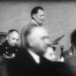 Avant la catastrophe : la naissance de la dictature nazie (1933 -1936) documentaire politique PUBLIC SENAT - LCP AN