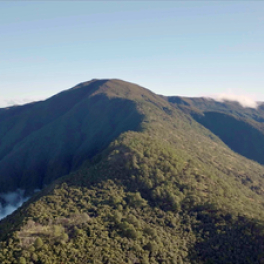 Tapulao, une montagne à protéger : Tapulao, la fuite vers le sommet film documentaire USHUAIA TV
