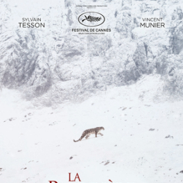 La panthère des neiges film documentaire CINE + FAMILY