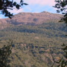 Battue dans le Montseny, réserve de la biosphère documentaire animalier CHASSE & PECHE