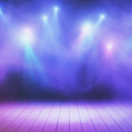 Gala du Festival du rire de Liège gala TIPIK