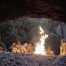 Chauvet, voyage aux origines documentaire historique FRANCE 5