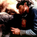 L'ours film aventure 6TER